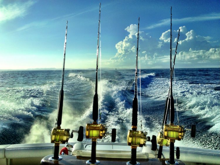 four fishing rods on a boat
